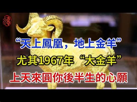 1951年生肖幾歲|1951是民國幾年？1951是什麼生肖？1951幾歲？